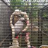 Fotografie 9 - Biopark Gymnázium Teplice