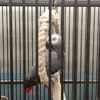 Fotografie 10 - Biopark Gymnázium Teplice