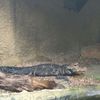 Fotografie 11 - Biopark Gymnázium Teplice