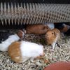 Fotografie 12 - Biopark Gymnázium Teplice