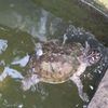 Fotografie 13 - Biopark Gymnázium Teplice