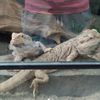 Fotografie 14 - Biopark Gymnázium Teplice