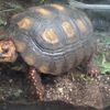 Fotografie 15 - Biopark Gymnázium Teplice