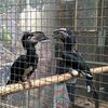 Fotografie 16 - Biopark Gymnázium Teplice