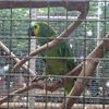 Fotografie 18 - Biopark Gymnázium Teplice