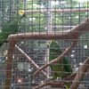 Fotografie 19 - Biopark Gymnázium Teplice
