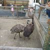 Fotografie 27 - Biopark Gymnázium Teplice