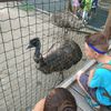 Fotografie 28 - Biopark Gymnázium Teplice