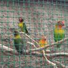 Fotografie 31 - Biopark Gymnázium Teplice