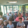 Fotografie 1 - ZOO PARK CHOMUTOV