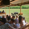 Fotografie 14 - ZOO PARK CHOMUTOV