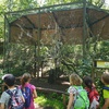 Fotografie 18 - ZOO PARK CHOMUTOV