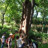 Fotografie 21 - ZOO PARK CHOMUTOV