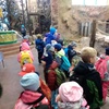 Fotografie 6 - Výlet do ZOO