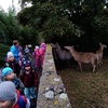 Fotografie 7 - Výlet do ZOO