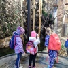Fotografie 10 - Výlet do ZOO