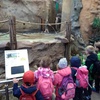 Fotografie 11 - Výlet do ZOO