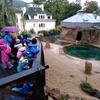 Fotografie 12 - Výlet do ZOO