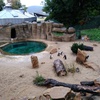 Fotografie 16 - Výlet do ZOO