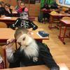 Fotografie 6 - Halloween