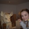 Fotografie 11 - Zemědělské muzeum v Praze