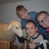 Fotografie 12 - Zemědělské muzeum v Praze