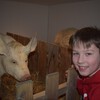Fotografie 19 - Zemědělské muzeum v Praze