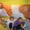 Fotografie 20 - Zemědělské muzeum v Praze