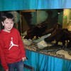 Fotografie 38 - Zemědělské muzeum v Praze