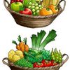 Fotografie 1 - Vitamíny