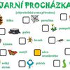 Fotografie 1 - PROCHÁZKA