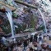 Fotografie 3 - Den otevírání studánek