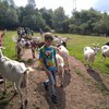 Fotografie 5 - Kozí farma