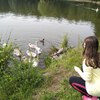 Fotografie 42 - Kozí farma