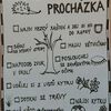 Fotografie 1 - PODZIMNÍ PROCHÁZKA