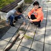 Fotografie 21 - Tvoříme venku