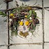 Fotografie 22 - Tvoříme venku
