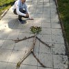 Fotografie 27 - Tvoříme venku