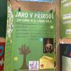 Fotografie 9 - Jaro ve škole