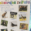 Fotografie 1 - Savci v 2. B