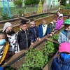 Fotografie 5 - Pracujeme na pozemku