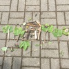Fotografie 7 - Práce z přírodnin