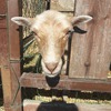 Fotografie 4 - Biopark