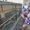 Fotografie 15 - Biopark