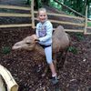 Fotografie 8 - Školní výlet - naučná stezka skřítka Hrobčíka