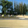 Fotografie 8 - T-Mobile olympijský běh