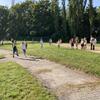 Fotografie 12 - T-mobile olympijský běh