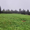 Fotografie 10 - Cvičení v přírodě