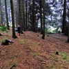 Fotografie 16 - Cvičení v přírodě