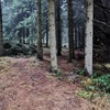 Fotografie 42 - Cvičení v přírodě